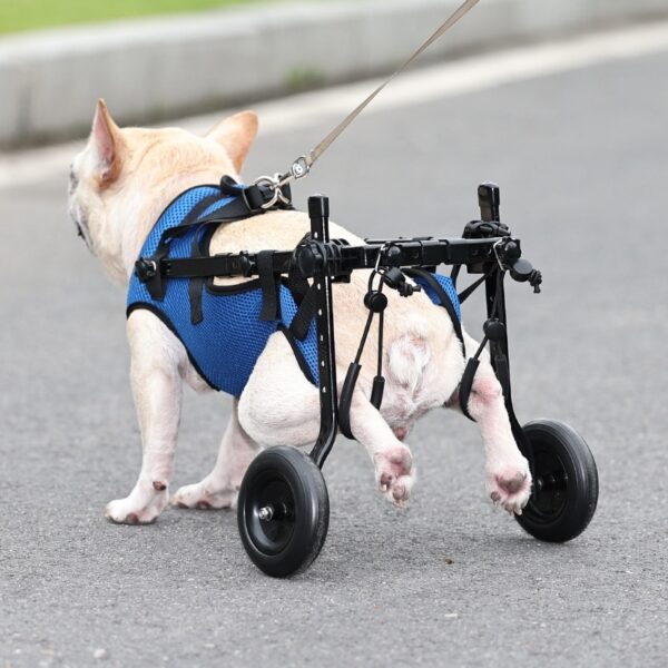 Pet Disabled Dog Wheelchair Scooter - Image 3